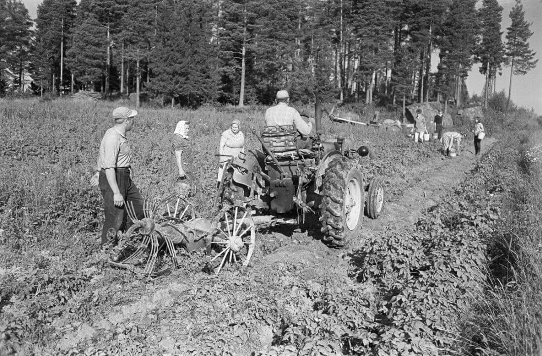 Perunannostoa Zetor 25A traktorilla vuonna 1964. Kuva Poutvaara/Museovirasto